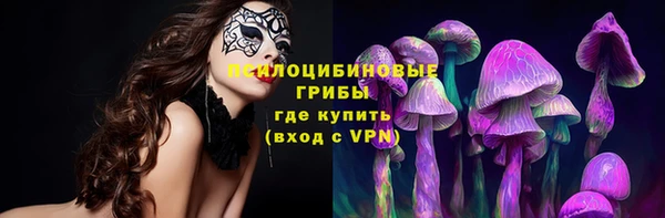 не бодяженный Абаза