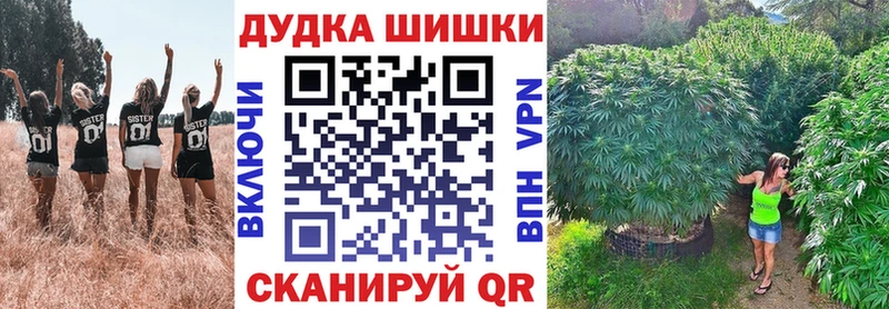 Канабис планчик Яблоновский